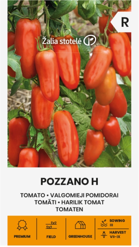 Pomidor Pozzano H odmiana mieszańcowa typu San Marzano bardzo plenna nasiona Žalia stotelė sklep rajogrodnika
